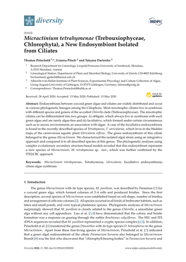 Micractinium Tetrahymenae (Trebouxiophyceae, Chlorophyta), a New Endosymbiont Isolated from Ciliates