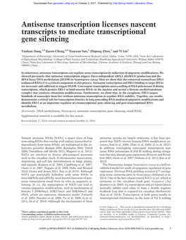 Antisense Transcription Licenses Nascent Transcripts to Mediate Transcriptional Gene Silencing