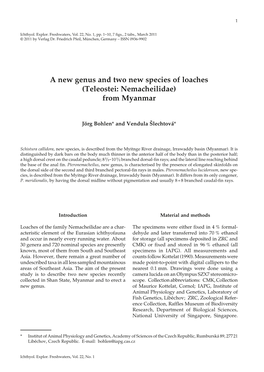 A New Genus and Two New Species of Loaches (Teleostei: Nemacheilidae) from Myanmar