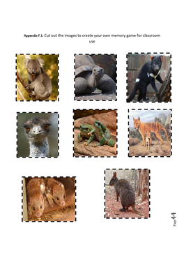 Appendix F.1: Cut out the Images to Create Your Own Memory Game for Classroom Use