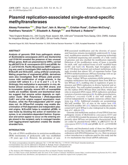 Plasmid Replication-Associated Single-Strand-Specific