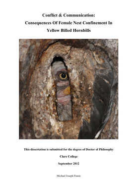 Consequences of Female Nest Confinement in Yellow Billed Hornbills