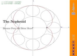 The Nephroid