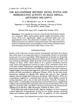 The Relationship Between Social Status and Reproductive Activity in Male Impala, Aepyceros Melampus