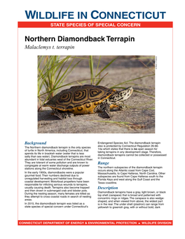 Northern Diamondback Terrapin Fact Sheet