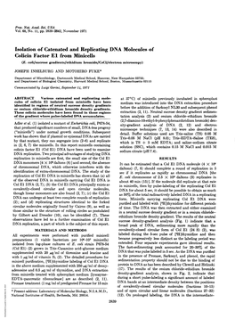 Isolation of Catenated and Replicating DNA Molecules of Colicin Factor El from Minicells (E