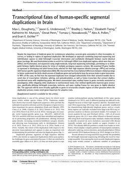 Transcriptional Fates of Human-Specific Segmental Duplications in Brain