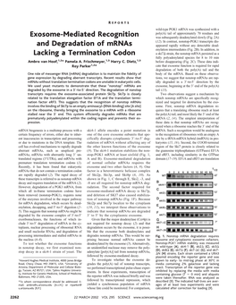 Exosome-Mediated Recognition and Degradation of Mrnas Lacking A