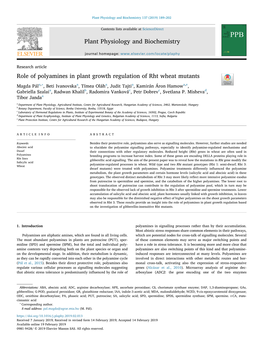 Role of Polyamines in Plant Growth Regulation of Rht Wheat Mutants