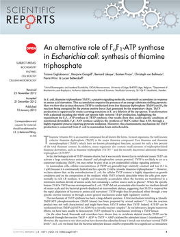 An Alternative Role of Fof1-ATP Synthase in Escherichia Coli