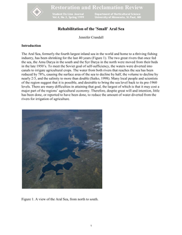 Rehabilitation of the 'Small' Aral Sea