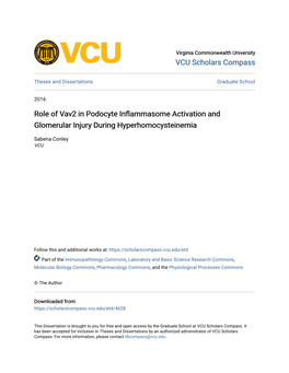 Role of Vav2 in Podocyte Inflammasome Activation and Glomerular Injury During Hyperhomocysteinemia