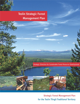 Teslin Strategic Forest Management Plan