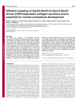 Efficient Coupling of Sec23-Sec24 to Sec13-Sec31 Drives COPII-Dependent Collagen Secretion and Is Essential for Normal Craniofacial Development