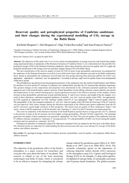 Reservoir Quality and Petrophysical Properties of Cambrian Sandstones and Their Changes During the Experimental Modelling of CO2 Storage in the Baltic Basin