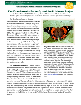 The Kamehameha Butterfly and the Pulelehua Project