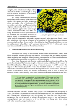 Complex, Inter-Linked Relationships and the Elimination of What Is at First Sight an Insig- Nificant Element Might Lead to the Destruc- Tion of the Whole System