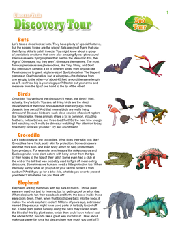 Crocodile Birds Bats Elephant