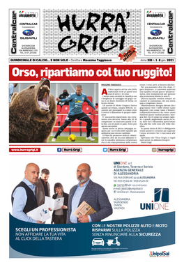 Orso, Ripartiamo Col Tuo Ruggito!