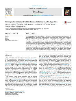 Resting State Connectivity of the Human Habenula at Ultra-High Field