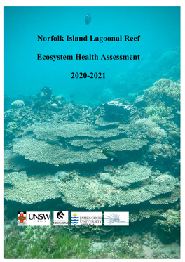 Norfolk Island Reef Health April 12Th 2021 SIMS