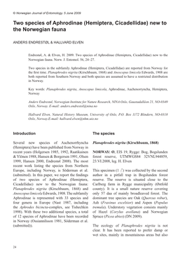 Two Species of Aphrodinae (Hemiptera, Cicadellidae) New to the Norwegian Fauna