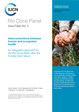 Rio Doce Panel Issue Paper No