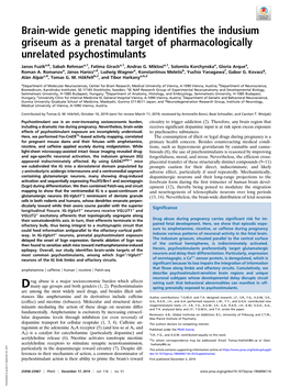 Brain-Wide Genetic Mapping Identifies the Indusium Griseum As a Prenatal Target of Pharmacologically Unrelated Psychostimulants