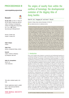 The Developmental Evolution of the Digging Tibia of Dung Beetles Research David M