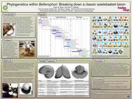 Boas Poster (NHRE 2013)