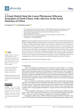 A Giant Ostrich from the Lower Pleistocene Nihewan Formation of North China, with a Review of the Fossil Ostriches of China