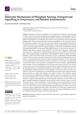 Molecular Mechanisms of Phosphate Sensing, Transport and Signalling in Streptomyces and Related Actinobacteria