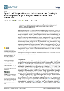 Spatial and Temporal Patterns in Macroherbivore Grazing in a Multi-Species Tropical Seagrass Meadow of the Great Barrier Reef