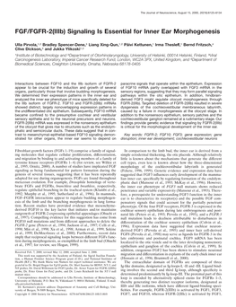 FGF/FGFR-2(Iiib) Signaling Is Essential for Inner Ear Morphogenesis