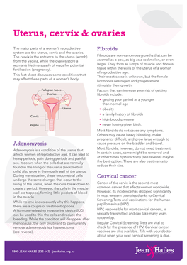Uterus, Cervix and Ovaries