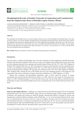 Morphological Diversity of Benthic Nostocales (Cyanoprokaryota/Cyanobacteria) from the Tropical Rocky Shores of Huatulco Region, Oaxaca, México