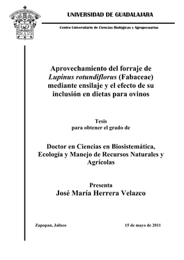 Aprovechamiento Del Forraje De Lupinus Rotundiflorus (Fabaceae) Mediante Ensilaje Y El Efecto De Su Inclusión En Dietas Para Ovinos