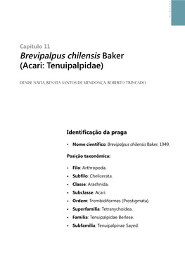 Brevipalpus Chilensis Baker (Acari: Tenuipalpidae)