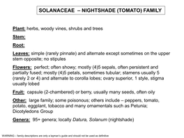 Solanaceae – Nightshade (Tomato) Family