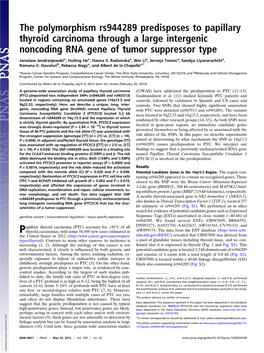 The Polymorphism Rs944289 Predisposes to Papillary Thyroid Carcinoma Through a Large Intergenic Noncoding RNA Gene of Tumor Suppressor Type