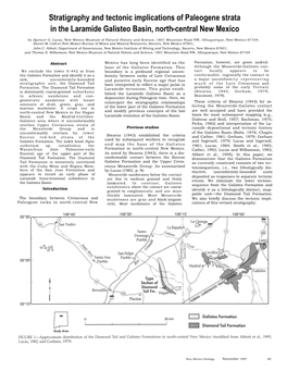 Stratigraphy and Tectonic Implications of Paleogene Strata in the Laramide Galisteo Basin, North-Central New Mexico