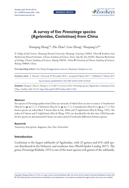 ﻿A Survey of Five Pireneitega Species (Agelenidae, Coelotinae) from China