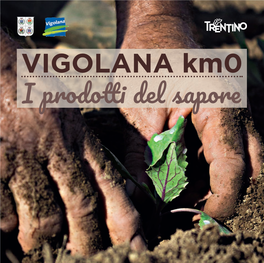 VIGOLANA Km0 I Prodott I Del Sapore