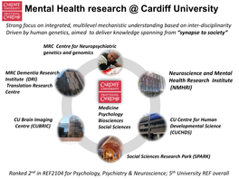 Cognitive Testing for Dementia Diagnosis