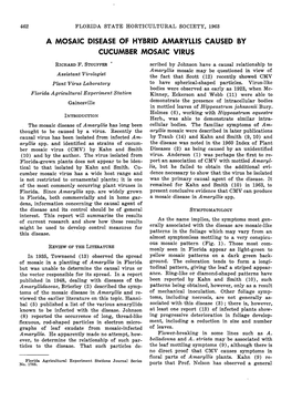 A Mosaic Disease of Hybrid Amaryllis Caused by Cucumber Mosaic Virus