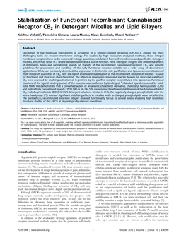 Stabilization of Functional Recombinant Cannabinoid Receptor CB2 in Detergent Micelles and Lipid Bilayers