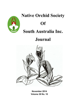 Native Orchid Society of South Australia Inc