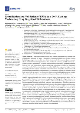 Identification and Validation of ERK5 As a DNA Damage Modulating