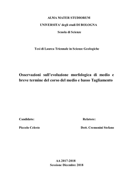 Osservazioni Sull'evoluzione Morfologica Di Medio E Breve Termine Del Corso Del Medio E Basso Tagliamento