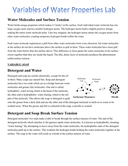 Water Molecules and Surface Tension Water Holds Unique Properties Which Makes It 